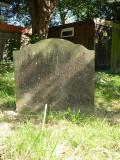 image number Mann Thomas 502